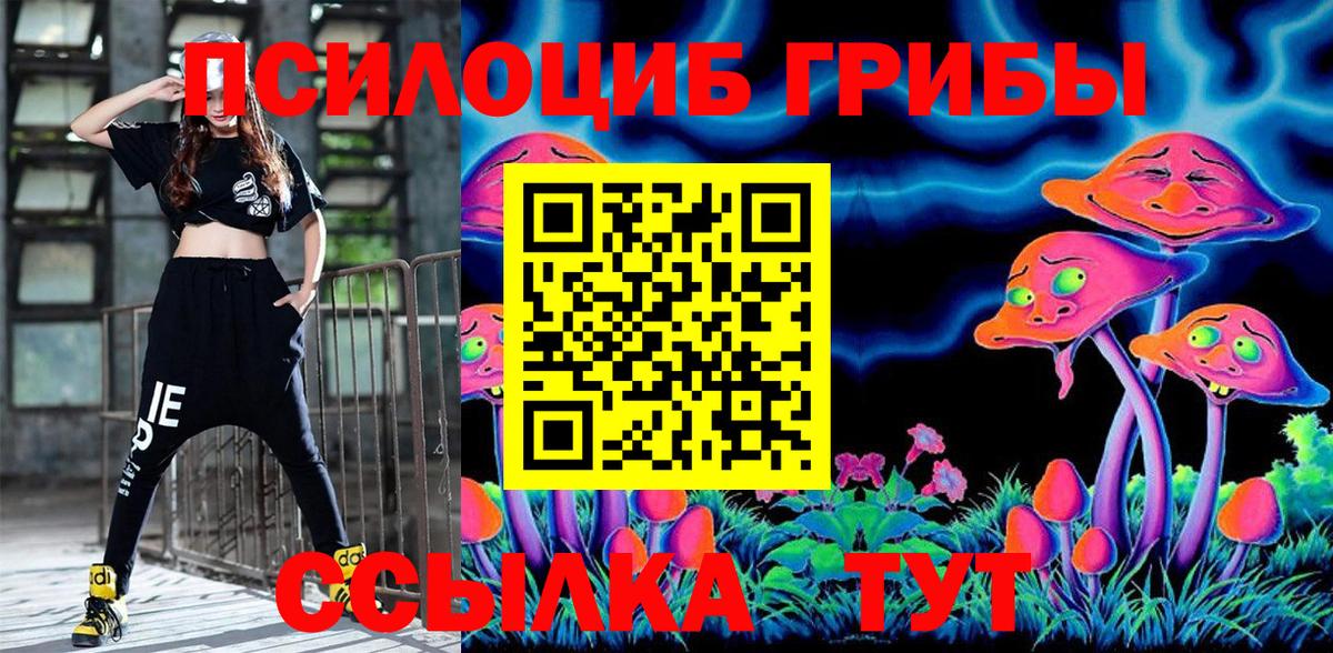 Галлюциногенные грибы Magic Shrooms  Вход с VPN  Ковров  Псилоцибиновые грибы прущие грибы 